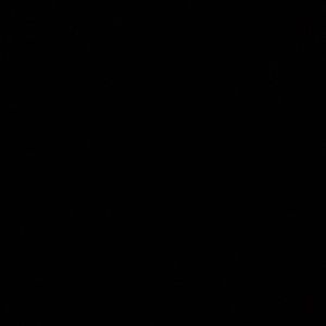 Meet your Posher, Delphia